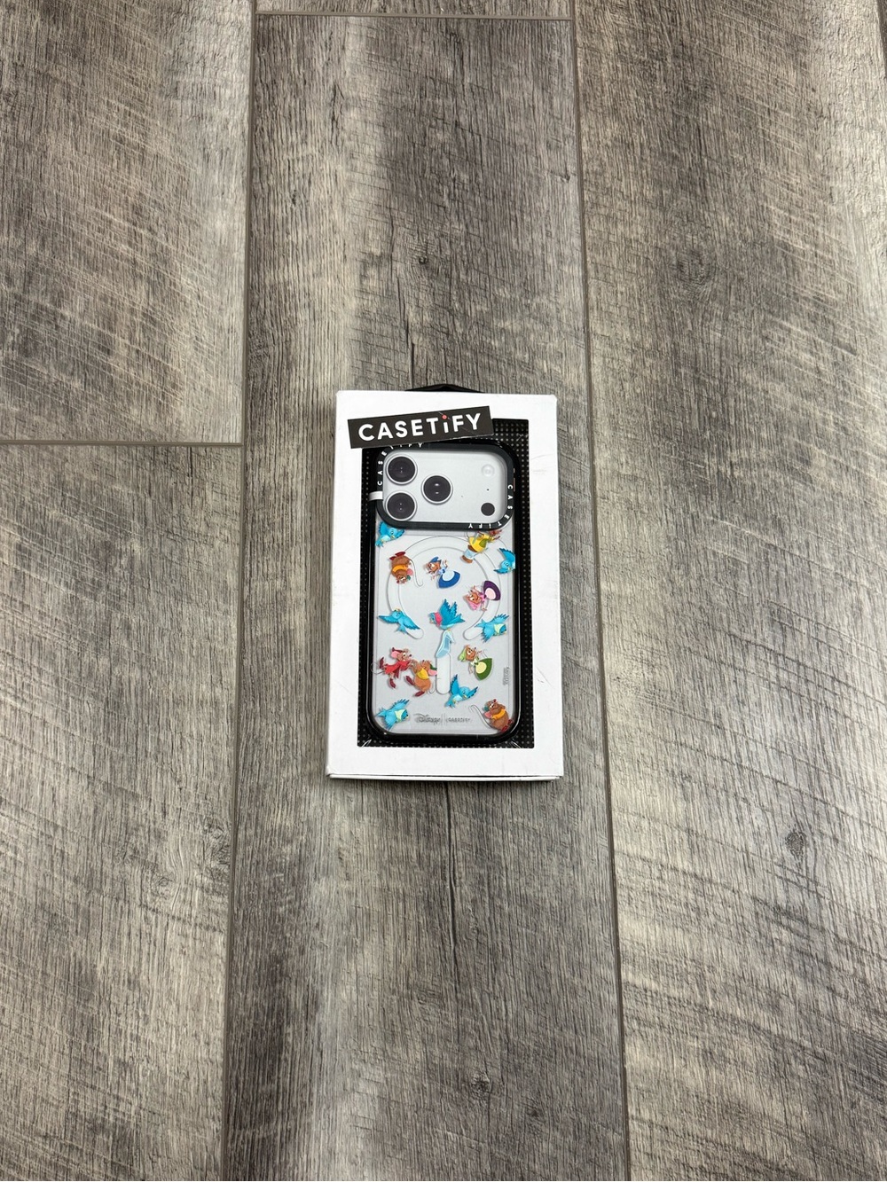 Casetify Iphone 17 Pro Cinderella Phone Case